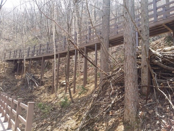 영동 민주지산 데크