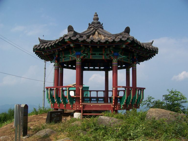 NP-809-G 전통한식단각팔각정자